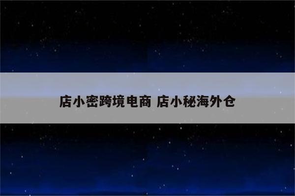 店小密跨境电商 店小秘海外仓