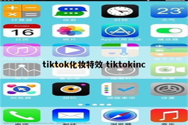 tiktok化妆特效 tiktokinc
