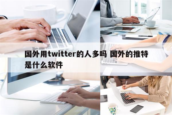 国外用twitter的人多吗 国外的推特是什么软件