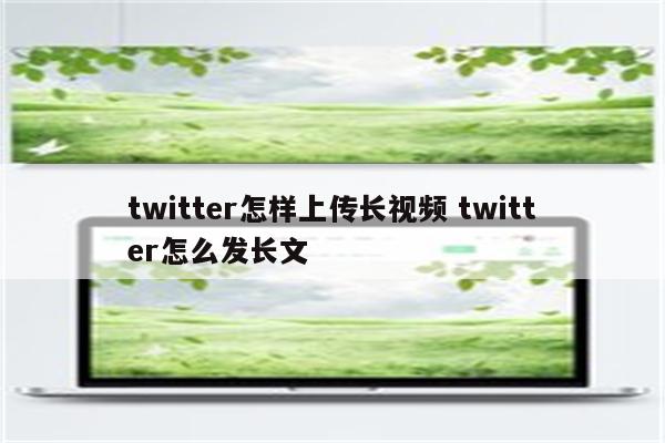 twitter怎样上传长视频 twitter怎么发长文