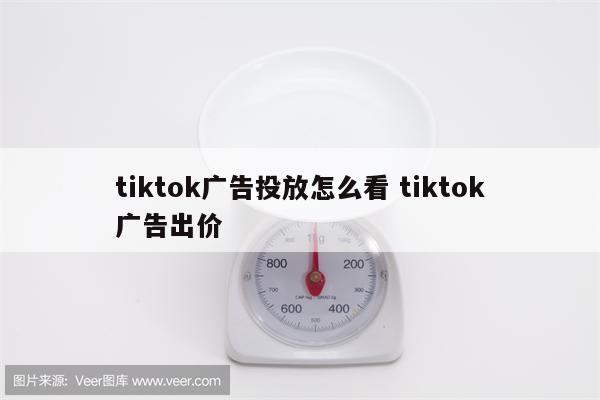 tiktok广告投放怎么看 tiktok广告出价