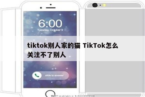 tiktok别人家的猫 TikTok怎么关注不了别人