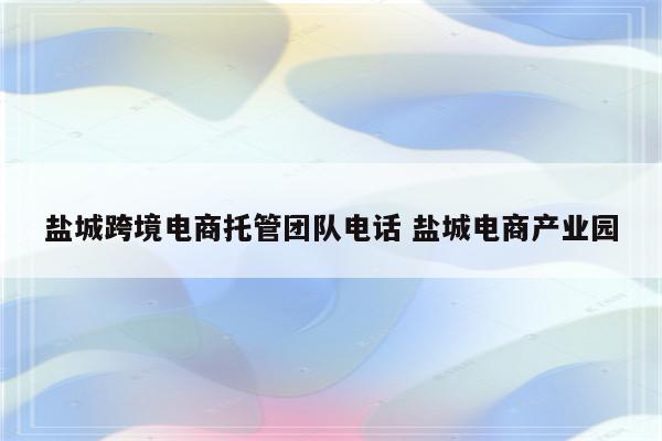 盐城跨境电商托管团队电话 盐城电商产业园