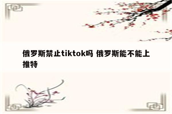 俄罗斯禁止tiktok吗 俄罗斯能不能上推特