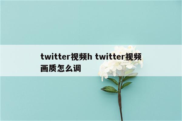 twitter视频h twitter视频画质怎么调