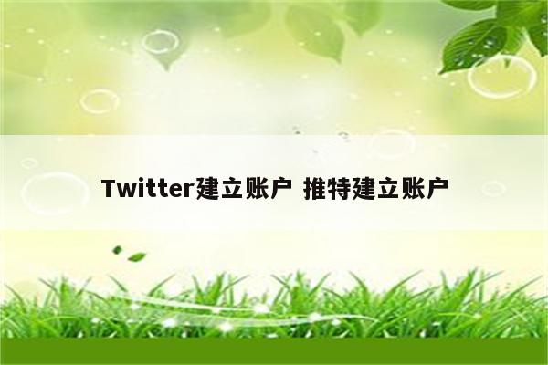 Twitter建立账户 推特建立账户