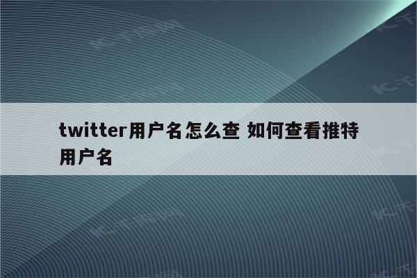 twitter用户名怎么查 如何查看推特用户名