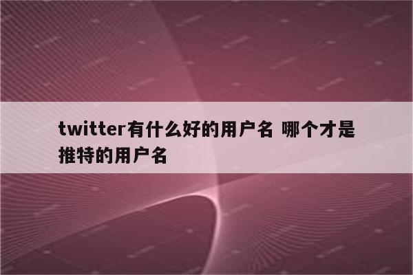 twitter有什么好的用户名 哪个才是推特的用户名