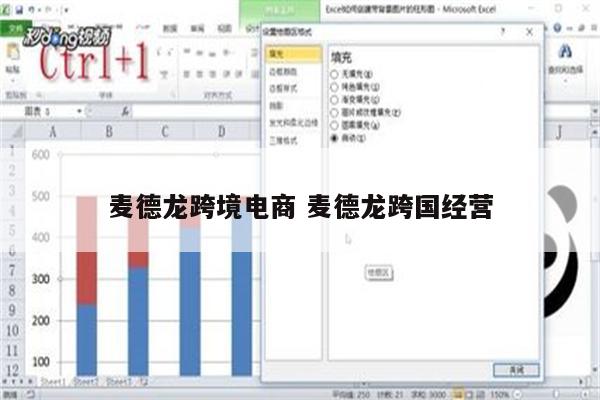 麦德龙跨境电商 麦德龙跨国经营