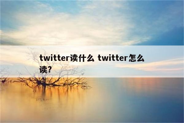 twitter读什么 twitter怎么读?