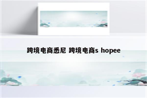 跨境电商悉尼 跨境电商s hopee