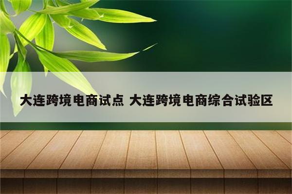 大连跨境电商试点 大连跨境电商综合试验区