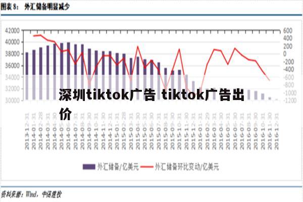 深圳tiktok广告 tiktok广告出价
