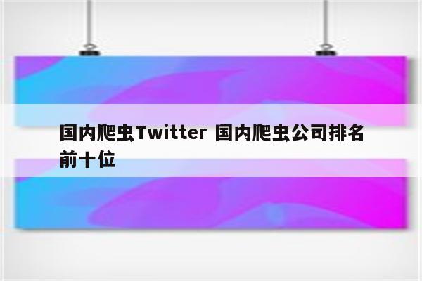 国内爬虫Twitter 国内爬虫公司排名前十位