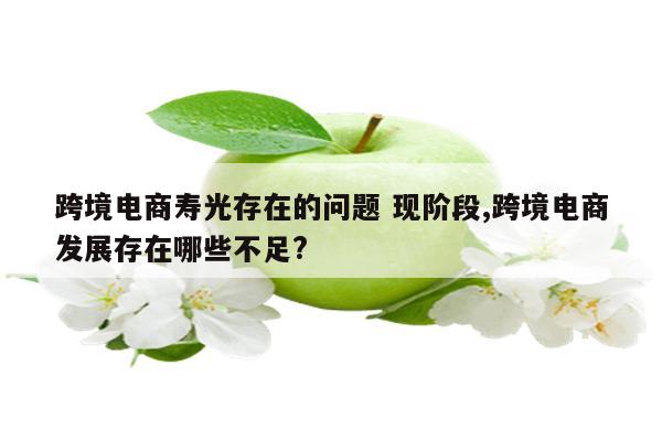 跨境电商寿光存在的问题 现阶段,跨境电商发展存在哪些不足?