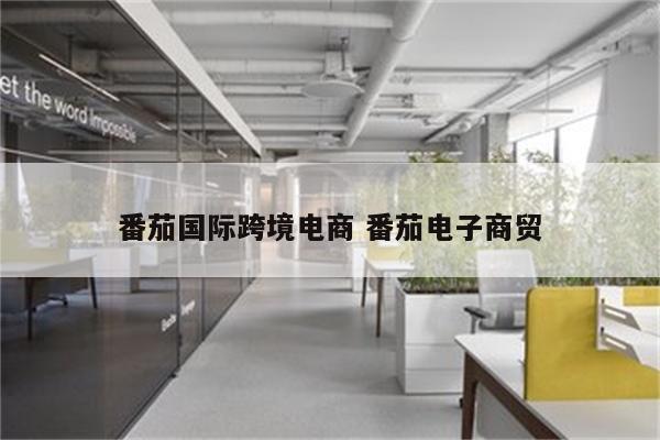 番茄国际跨境电商 番茄电子商贸