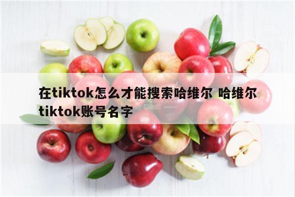在tiktok怎么才能搜索哈维尔 哈维尔tiktok账号名字