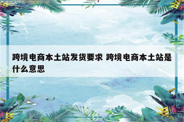 跨境电商本土站发货要求 跨境电商本土站是什么意思