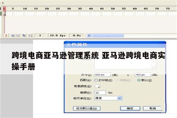 跨境电商亚马逊管理系统 亚马逊跨境电商实操手册