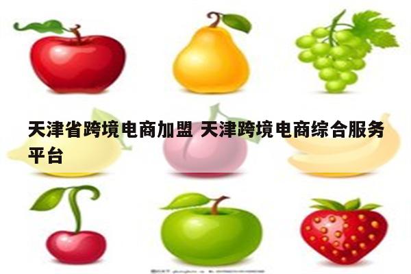 天津省跨境电商加盟 天津跨境电商综合服务平台