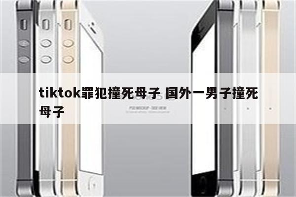 tiktok罪犯撞死母子 国外一男子撞死母子