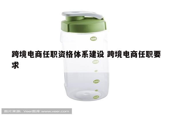 跨境电商任职资格体系建设 跨境电商任职要求