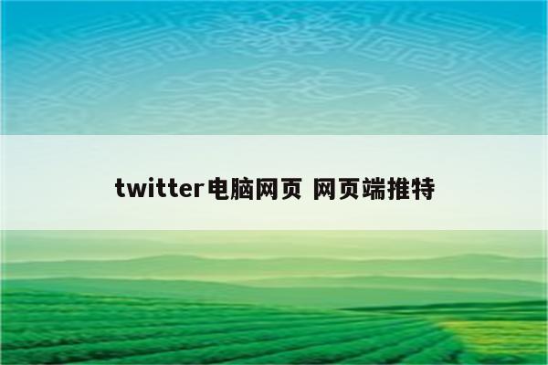 twitter电脑网页 网页端推特
