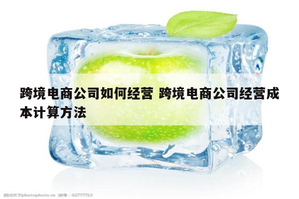 跨境电商公司如何经营 跨境电商公司经营成本计算方法