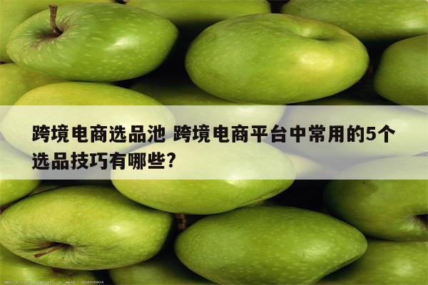 跨境电商选品池 跨境电商平台中常用的5个选品技巧有哪些?