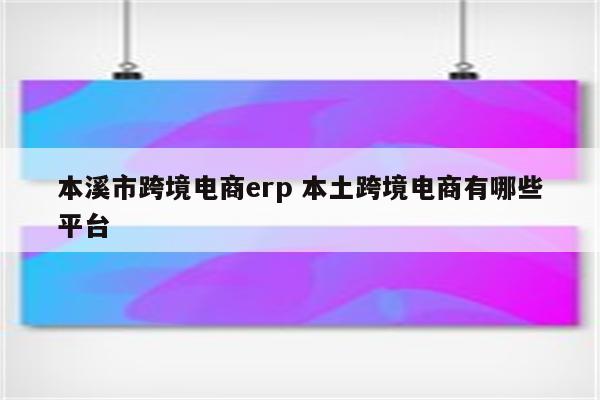 本溪市跨境电商erp 本土跨境电商有哪些平台