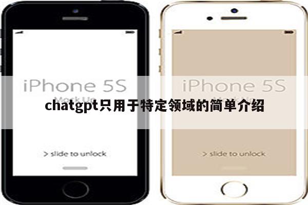 chatgpt只用于特定领域的简单介绍