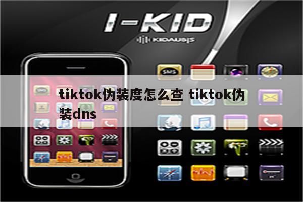 tiktok伪装度怎么查 tiktok伪装dns