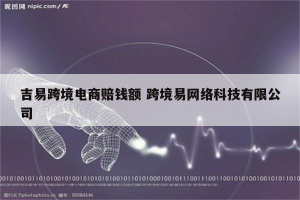 吉易跨境电商赔钱额 跨境易网络科技有限公司