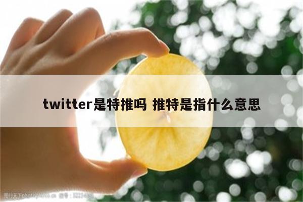 twitter是特推吗 推特是指什么意思