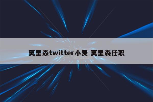 莫里森twitter小麦 莫里森任职