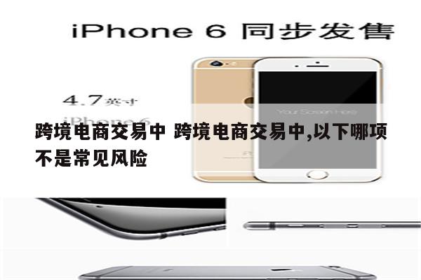 跨境电商交易中 跨境电商交易中,以下哪项不是常见风险