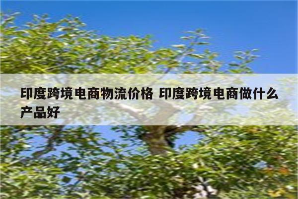 印度跨境电商物流价格 印度跨境电商做什么产品好