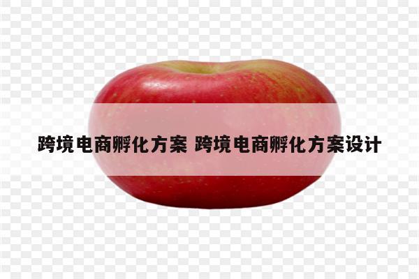 跨境电商孵化方案 跨境电商孵化方案设计