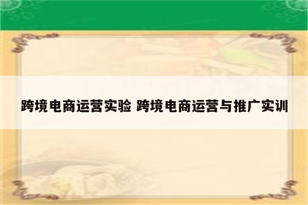 跨境电商运营实验 跨境电商运营与推广实训