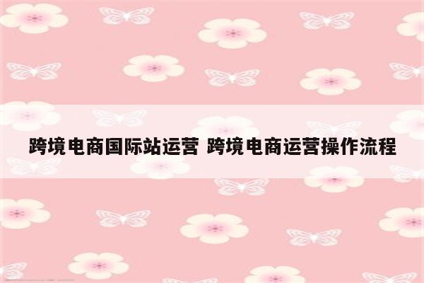 跨境电商国际站运营 跨境电商运营操作流程