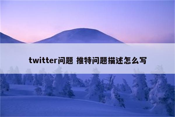 twitter问题 推特问题描述怎么写