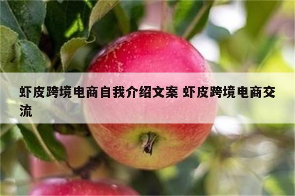 虾皮跨境电商自我介绍文案 虾皮跨境电商交流
