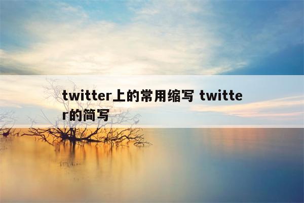 twitter上的常用缩写 twitter的简写