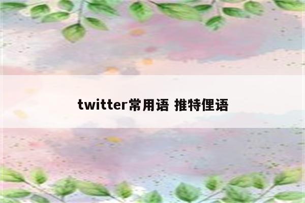 twitter常用语 推特俚语