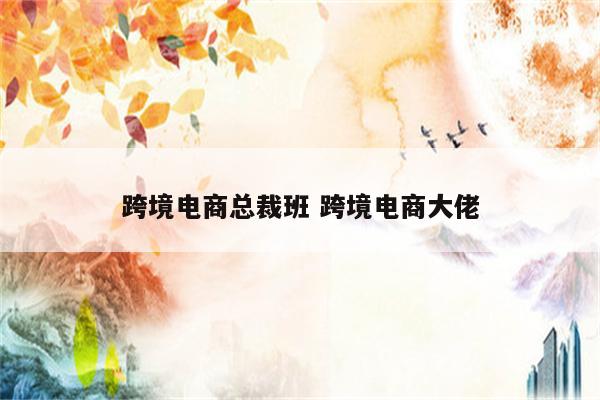 跨境电商总裁班 跨境电商大佬