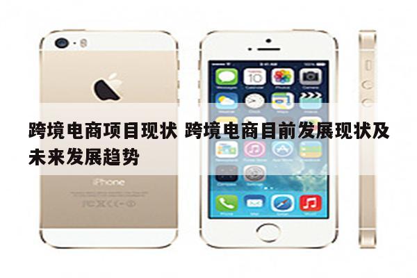 跨境电商项目现状 跨境电商目前发展现状及未来发展趋势