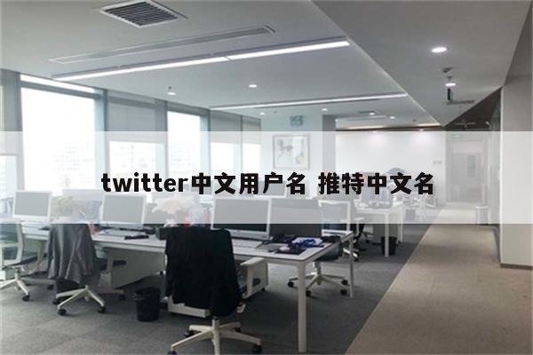 twitter中文用户名 推特中文名