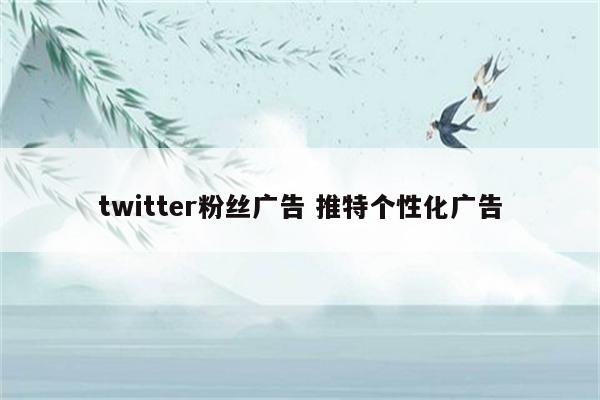 twitter粉丝广告 推特个性化广告