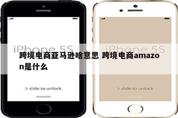 跨境电商亚马逊啥意思 跨境电商amazon是什么