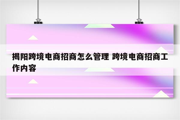 揭阳跨境电商招商怎么管理 跨境电商招商工作内容